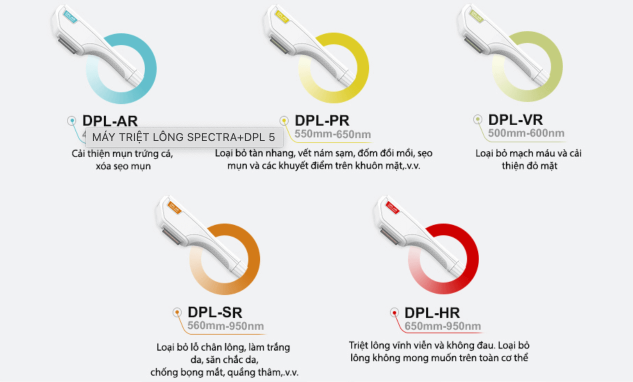5 tay triệt của SPECTRA+DPL